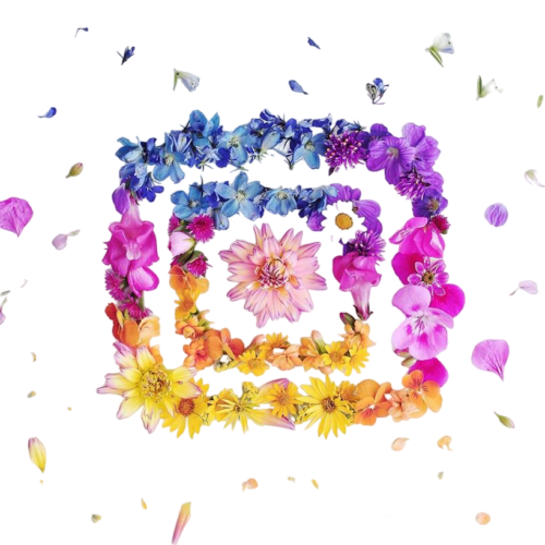 برای آشنایی بیشتر با خدمات  ما 